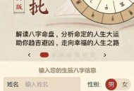 D774 八字精批付费测算系统源码/完美对接支付结算