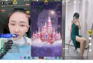 D226 三段通|短视频直播带货运营版源码下载