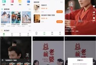 #热门 可运营短剧APP/小程序/H5系统搭建 短剧资源正版授权 短剧源码