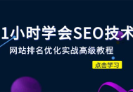 （站长必修课）学会SEO技术 网站排名优化实战高级教程-秒杀市面95%收费几千的SEO教程