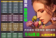 资源PS插件 2024合集版价值999元
