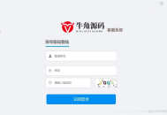 Java 开发在线客服系统｜企业网站官网客服系统｜网页聊天咨询客服
