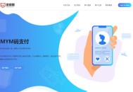 D2301 【企业猫亲测】2024又一款全新码支付源码