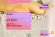   2021-05-09查绑聊天室源码查Q绑反查微博lol等功能