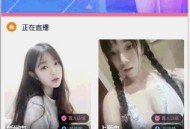   2021-05-20运营级大秀//带支付 程序源码+视频教程