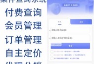新版精准查询