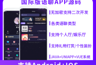 #热门 JAVA国际版多语言语聊大厅语音聊天APP系统源码