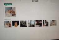 c# 结合AI 模型 开发的以图搜图，源代码，可以网站内搜索，或者改造成本地搜索