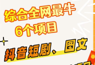 综合全网 6 个副业项目，有手就能做，新手、小白也能轻松上手