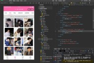   2022-01-20多套头像/壁纸/背景图资源微信小程序源码 粉色UI 带流量主