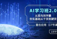 AI学习班2.0：从菜鸟到学霸，夯实基础从干货到硬货，重在应用（17节课）