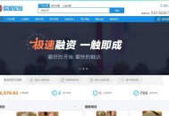 D162 VK维客众筹网整站源码 手机端众筹网站系统源码下载