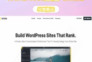 D3326 WordPress主题–Bricks Builder v2.3 破解版，自带可视化编辑器的主题