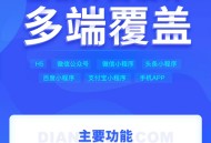 点大云供应链商城系统微信服务商分账正版坑位代搭建小程序三级分销团队分红DIY页面