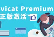 Navicat Premium 16正版激活_官方5999元年_0成本激活