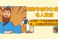 视频号创作分成之名人效应，几分钟一个作品流量好涨粉快，小白赚点零花钱没问题
