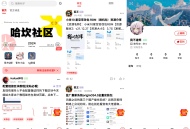 最新FANbbs社区圈子源码