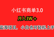小红书商单3.0，月入3w＋，蓝海项目，小白轻松上手